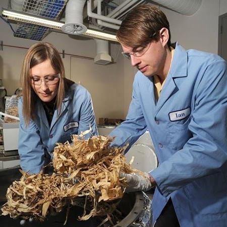 a photo of an man and woman looking at shredded wood