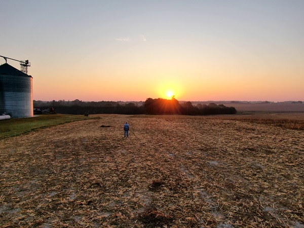 A sunset over a farm