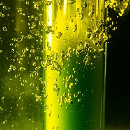 A close up photo of algae in a tube
